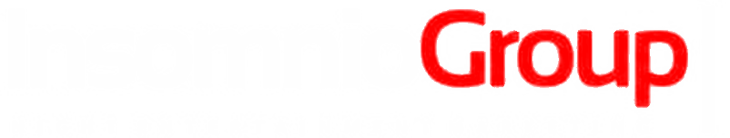 Insomnio Group · Night Entertainment Marketing